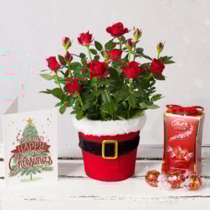 Santa Red Rose Gift